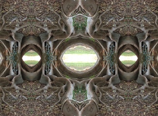P4212836Kal5a